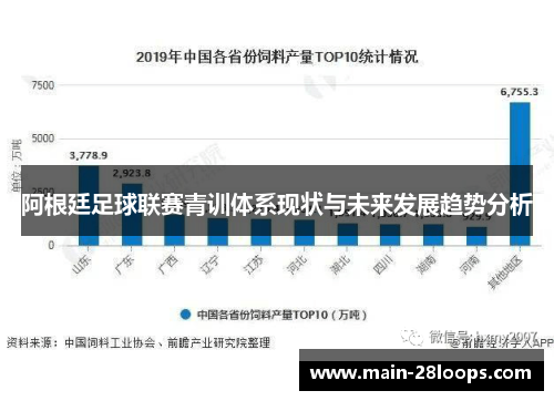 阿根廷足球联赛青训体系现状与未来发展趋势分析