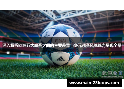 深入解析欧洲五大联赛之间的主要差异与多元观赛风貌魅力呈现全景