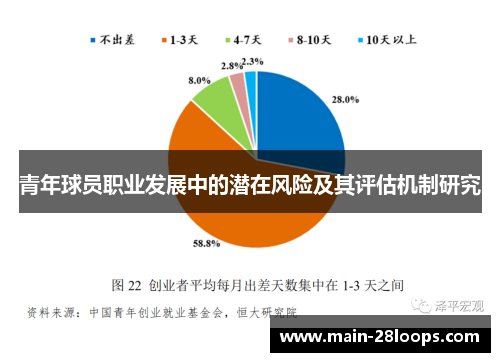 青年球员职业发展中的潜在风险及其评估机制研究