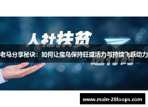 老马分享秘诀：如何让魔鸟保持旺盛活力与持续飞跃动力